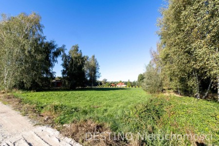 atrakcyjna działa budowlana 3118 m2 Wolica  Szałe -  Wolica  -
Zdjęcie nr 4