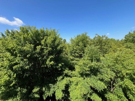 do wynajęcia przestronne 3pok mieszkanie przy ul Ogrodowej w Kaliszu - Kalisz   -
Zdjęcie nr 16