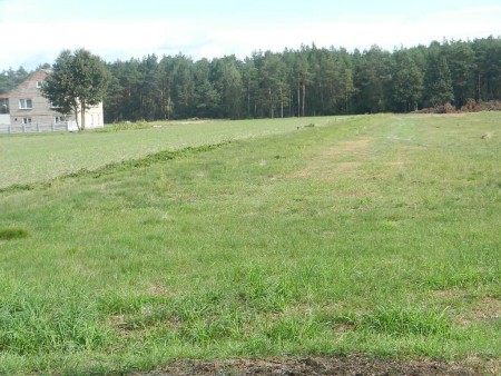 Atrakcyjna oferta dla inwestorów -  Obory-Kolonia  -
Zdjęcie nr 4
