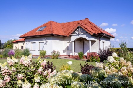 stylowy dom wolnostojący ok 170 m2 Pruszków gm Blizanów -  Pruszków  -
