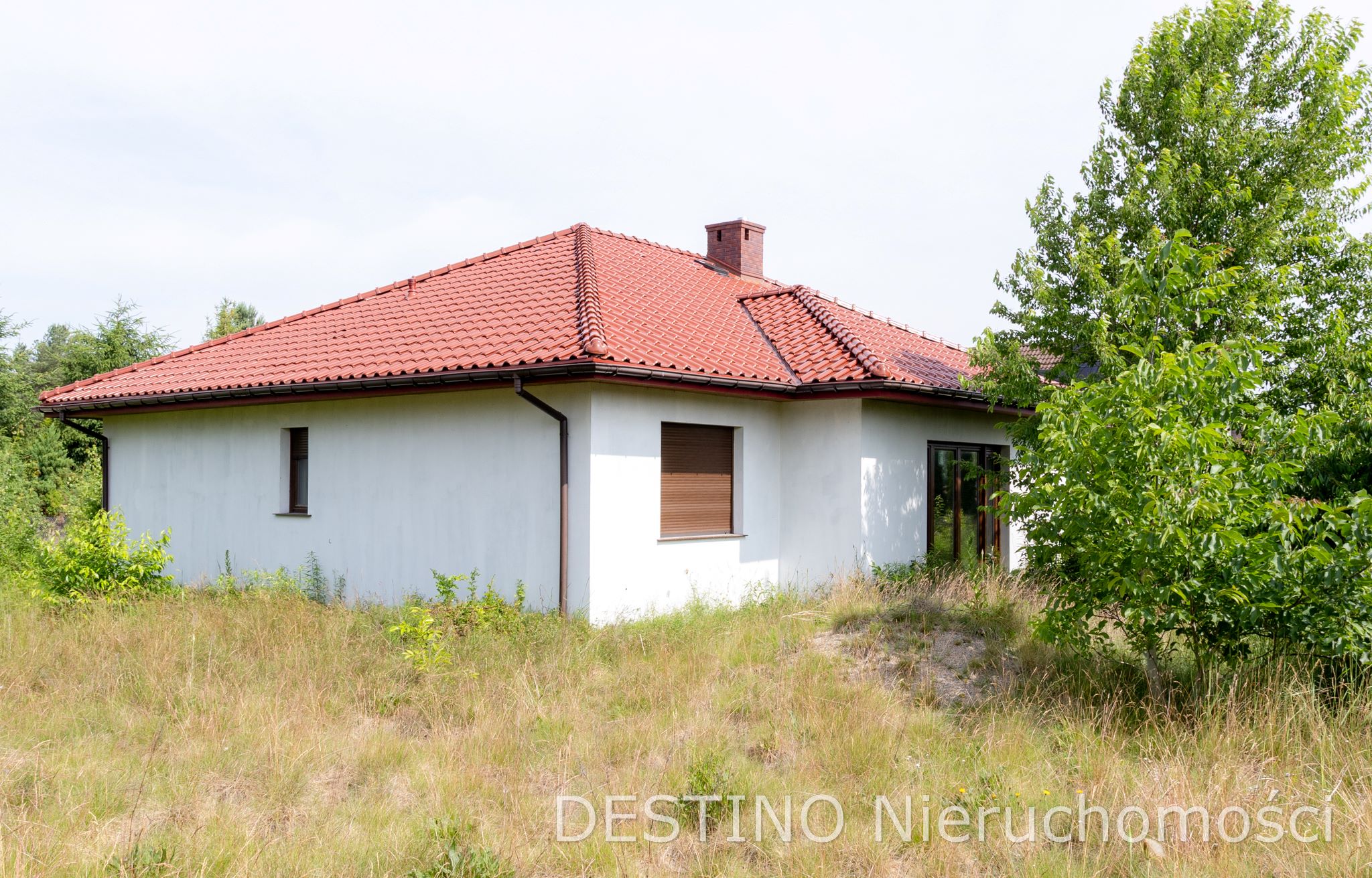 na sprzedaż parterowy dom wolnostojący na Szałe 983000 zł -  Szałe  -
Zdjęcie nr 3