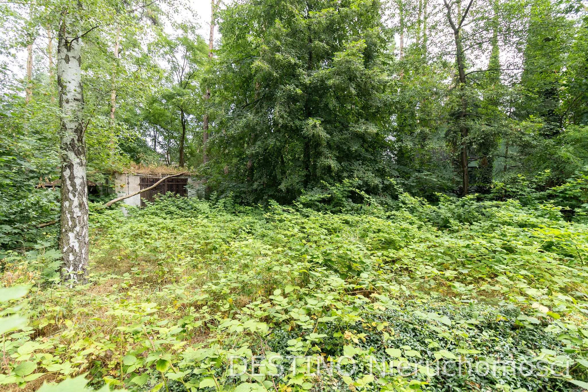 na sprzedaż dom w otulinie lasu na Szałe -  Szałe  -
Zdjęcie nr 12