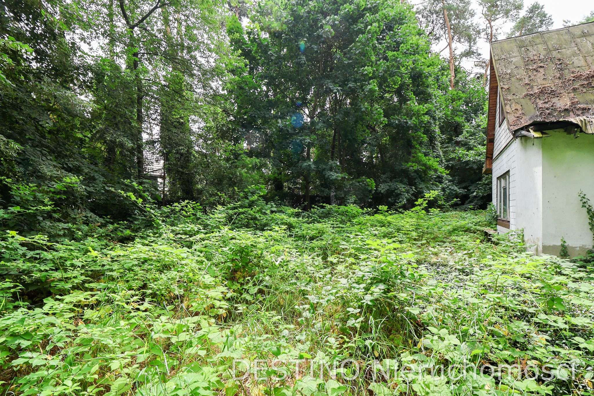 na sprzedaż dom w otulinie lasu na Szałe -  Szałe  -
Zdjęcie nr 13