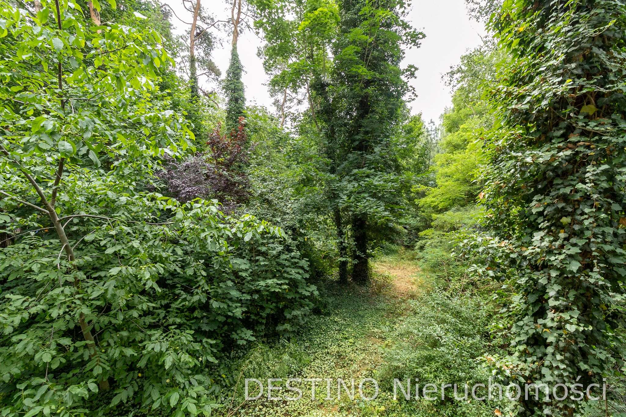 na sprzedaż dom w otulinie lasu na Szałe -  Szałe  -
Zdjęcie nr 8