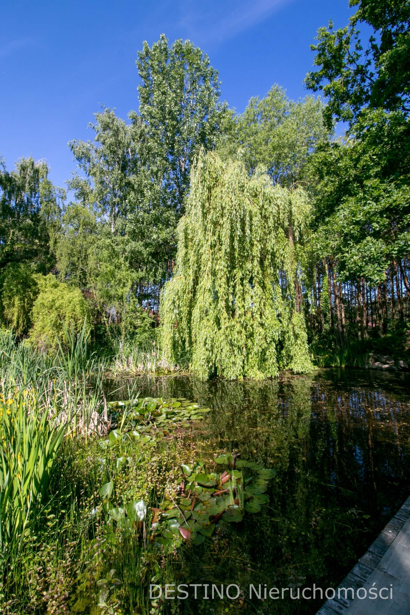 na sprzedaż dom typu rezydencja - Wolica pod Kaliszem -  Wolica  -
Zdjęcie nr 11