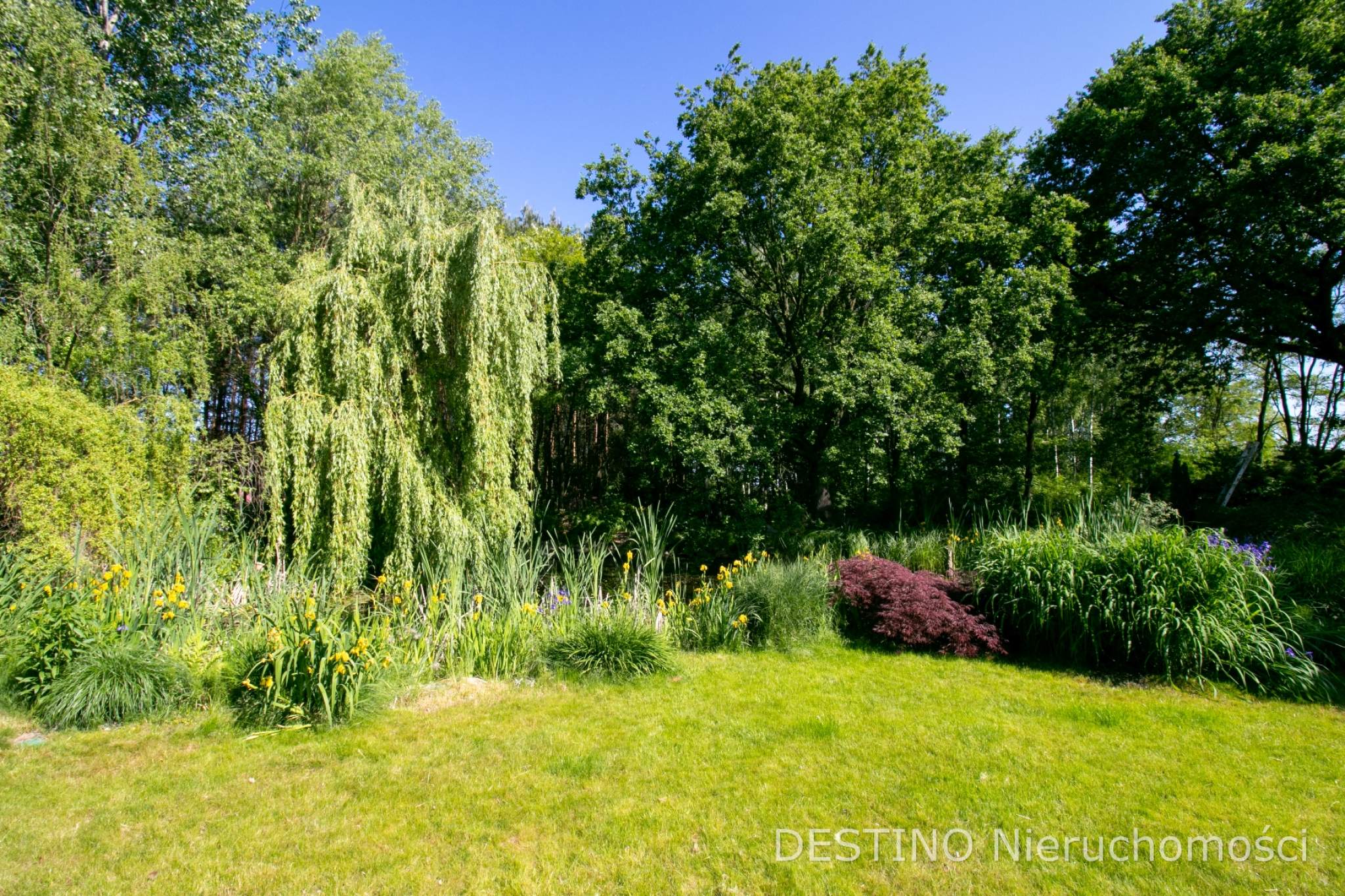 na sprzedaż dom typu rezydencja - Wolica pod Kaliszem -  Wolica  -
Zdjęcie nr 2