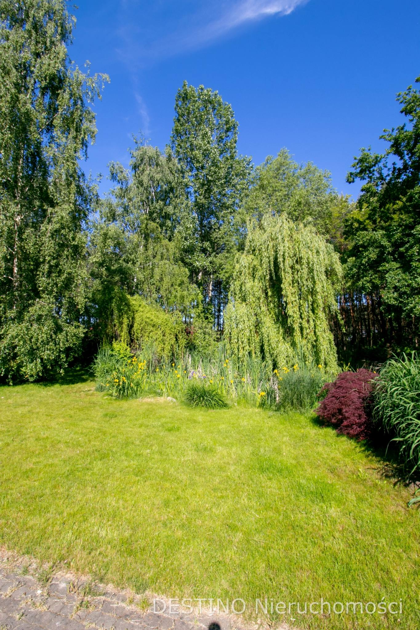 na sprzedaż dom typu rezydencja - Wolica pod Kaliszem -  Wolica  -
Zdjęcie nr 6