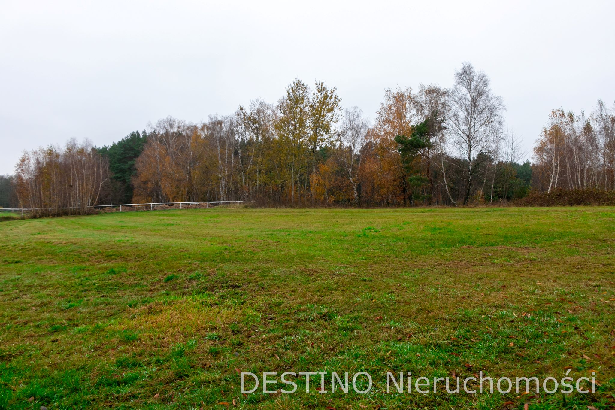 działka budowlana 4020 m2 Wolica  Szałe -  Wolica  -
Zdjęcie nr 3