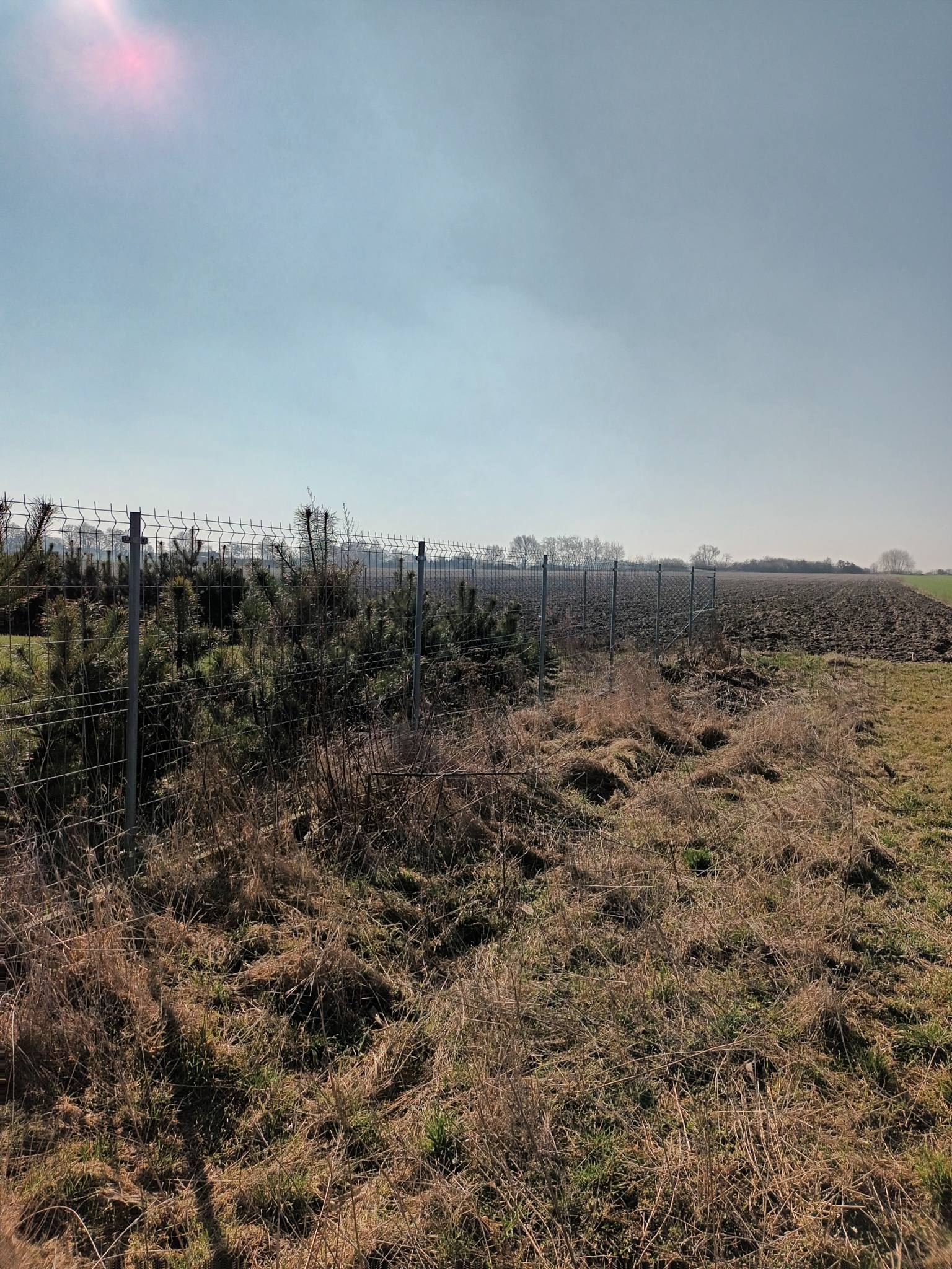 Kształtna działka siedliskowa w Żelazkowie - Żelazków  -
Zdjęcie nr 2