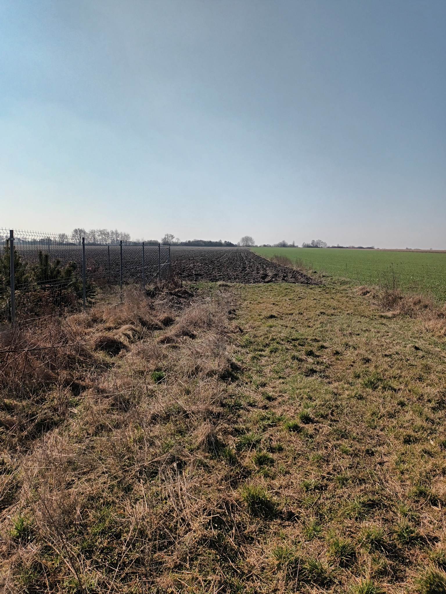 Kształtna działka siedliskowa w Żelazkowie - Żelazków  -
Zdjęcie nr 3