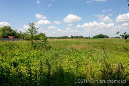 urokliwe umiejscowiona działka ok 5000 m2 - Kalisz   -
Zdjęcie nr 2
