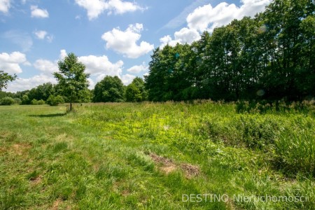 urokliwe umiejscowiona działka ok 5000 m2 - Kalisz   -
Zdjęcie nr 3