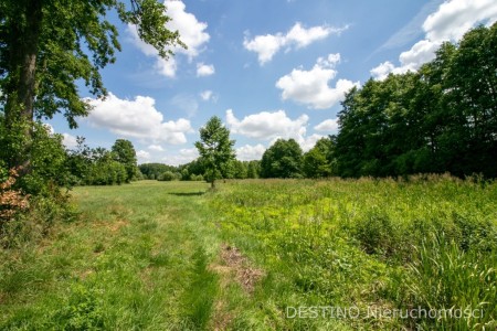 urokliwe umiejscowiona działka ok 5000 m2 - Kalisz   -
Zdjęcie nr 4