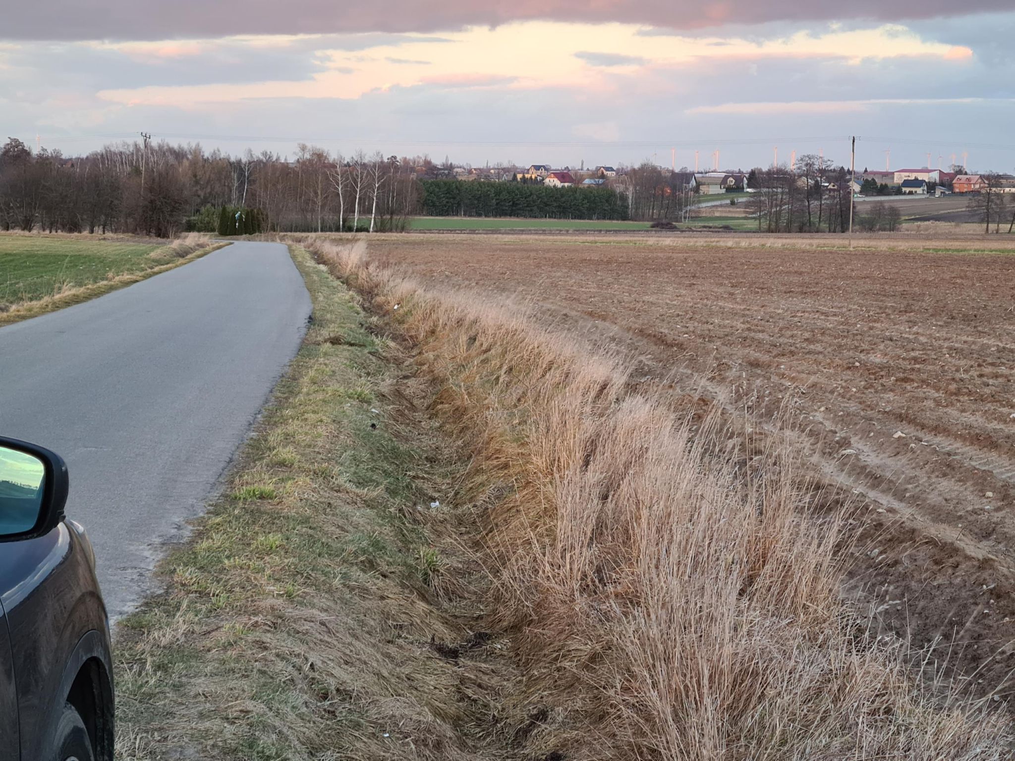 Działka pod zabudowę siedliskową 3380m2 Żelisław k Błaszek -  Żelisław  -
Zdjęcie nr 10