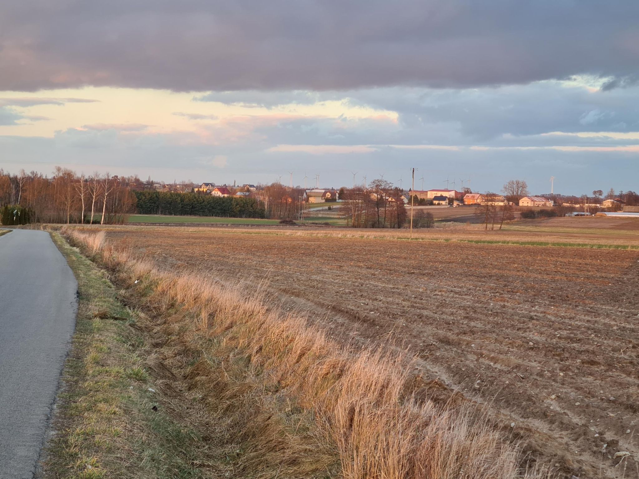 Działka pod zabudowę siedliskową 3380m2 Żelisław k Błaszek -  Żelisław  -
Zdjęcie nr 11