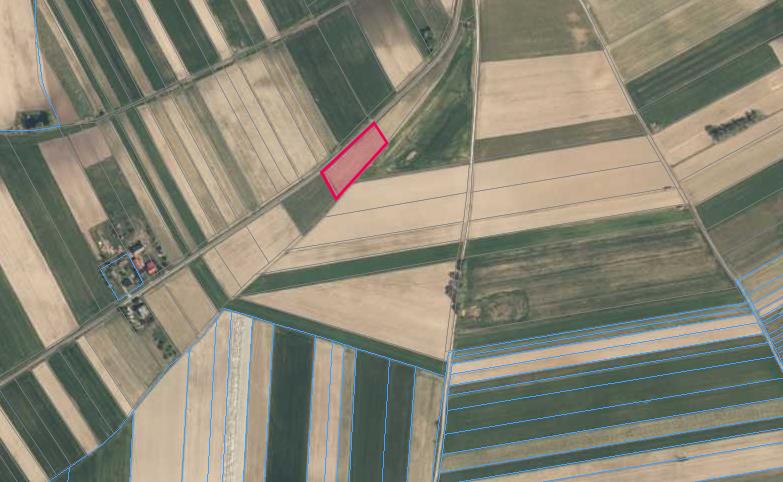 Działka pod zabudowę siedliskową 3380m2 Żelisław k Błaszek -  Żelisław  -
Zdjęcie nr 4