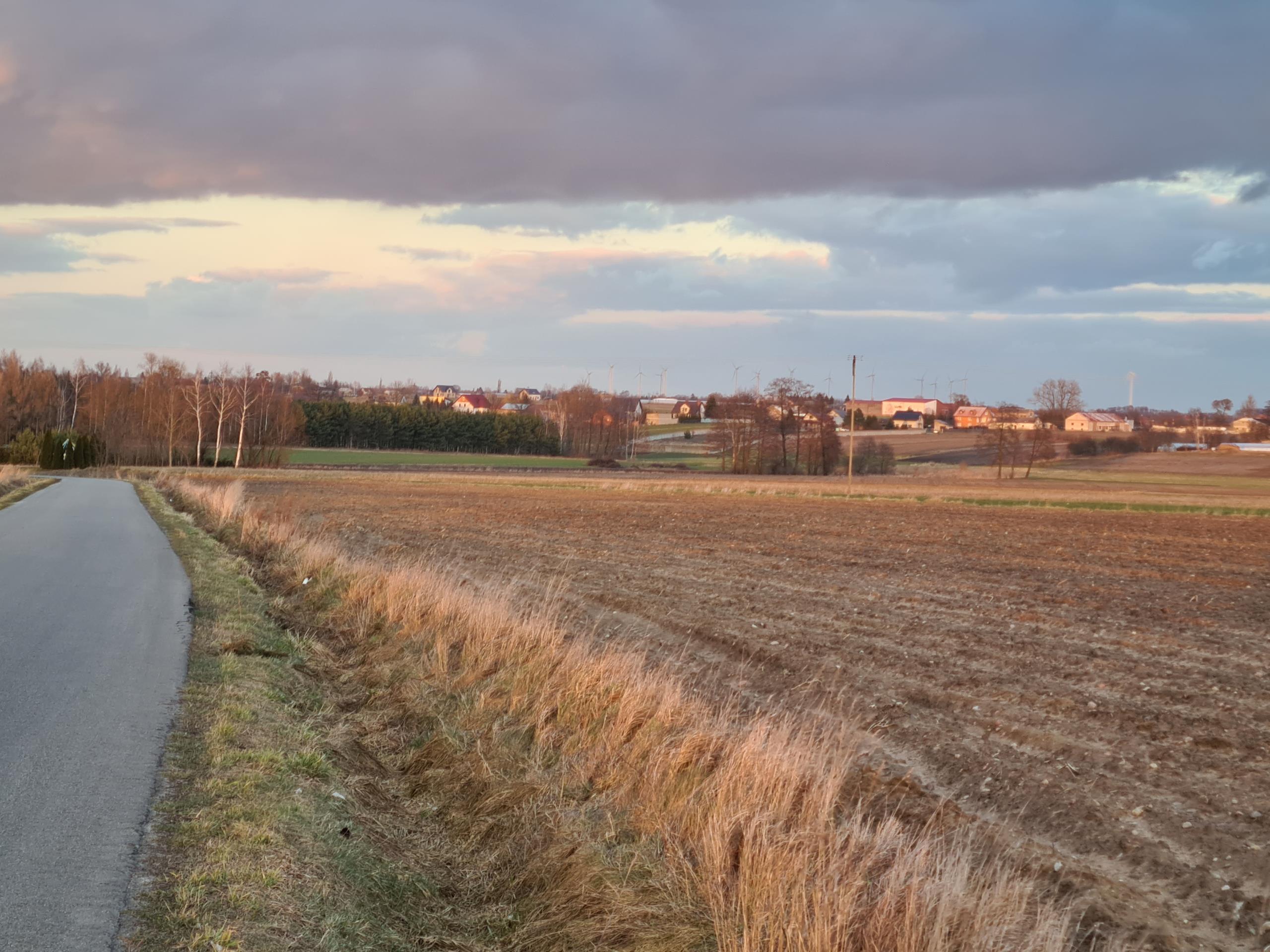 Działka pod zabudowę siedliskową 3380m2 Żelisław k Błaszek -  Żelisław  -
Zdjęcie nr 5
