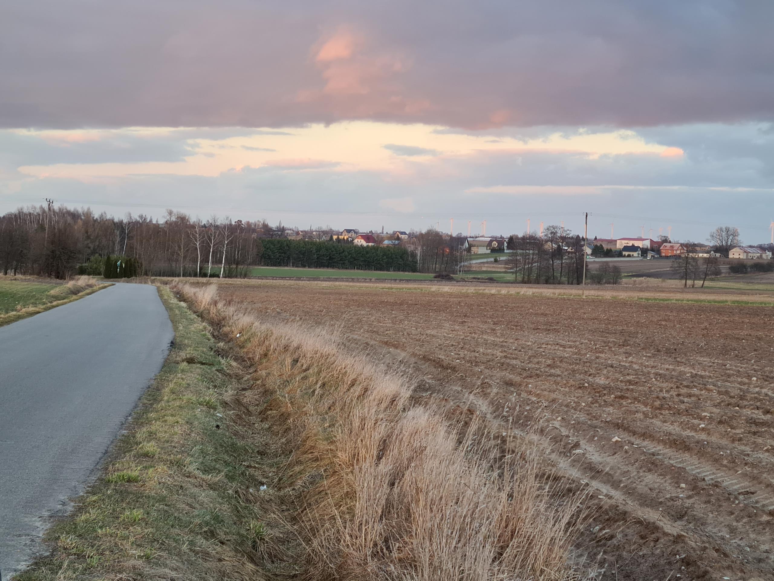 Działka pod zabudowę siedliskową 3380m2 Żelisław k Błaszek -  Żelisław  -
Zdjęcie nr 6