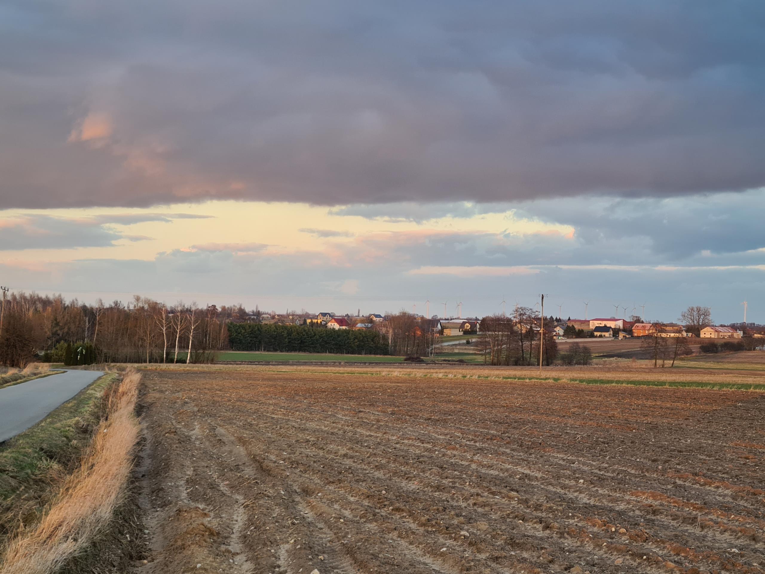 Działka pod zabudowę siedliskową 3380m2 Żelisław k Błaszek -  Żelisław  -
Zdjęcie nr 8