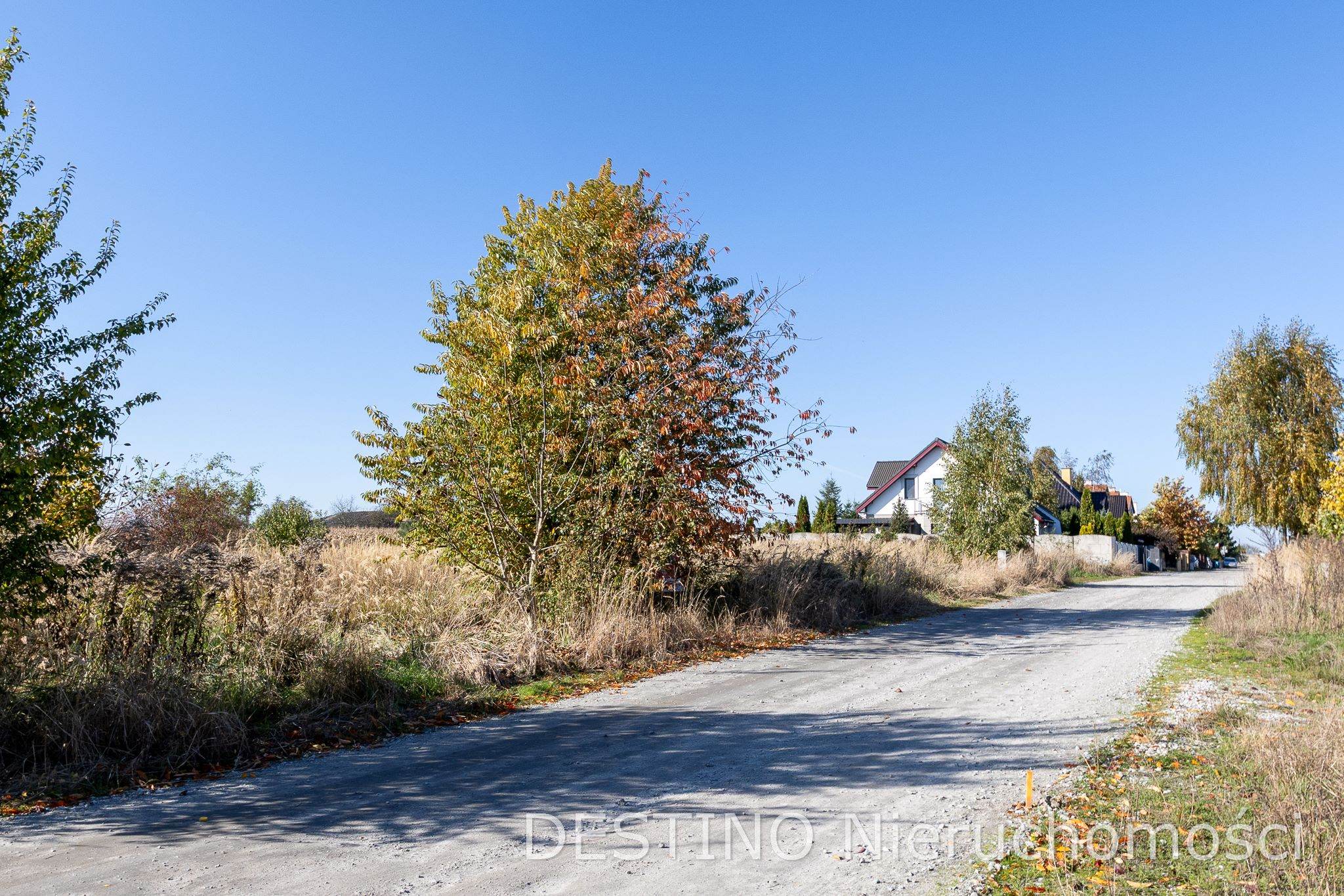 działka budowlana ok 1000 m2 Wojciechówka -  Wojciechówka  -
