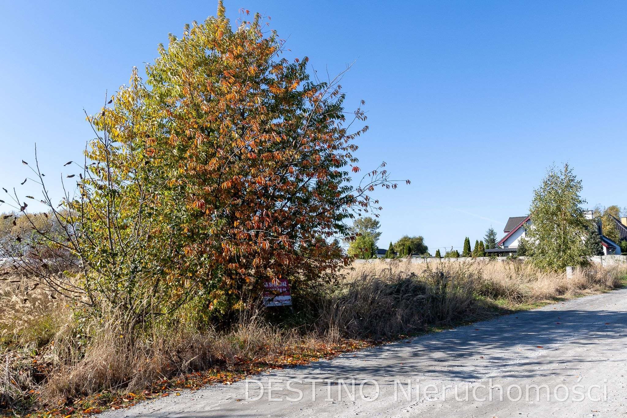 działka budowlana ok 1000 m2 Wojciechówka -  Wojciechówka  -
Zdjęcie nr 2