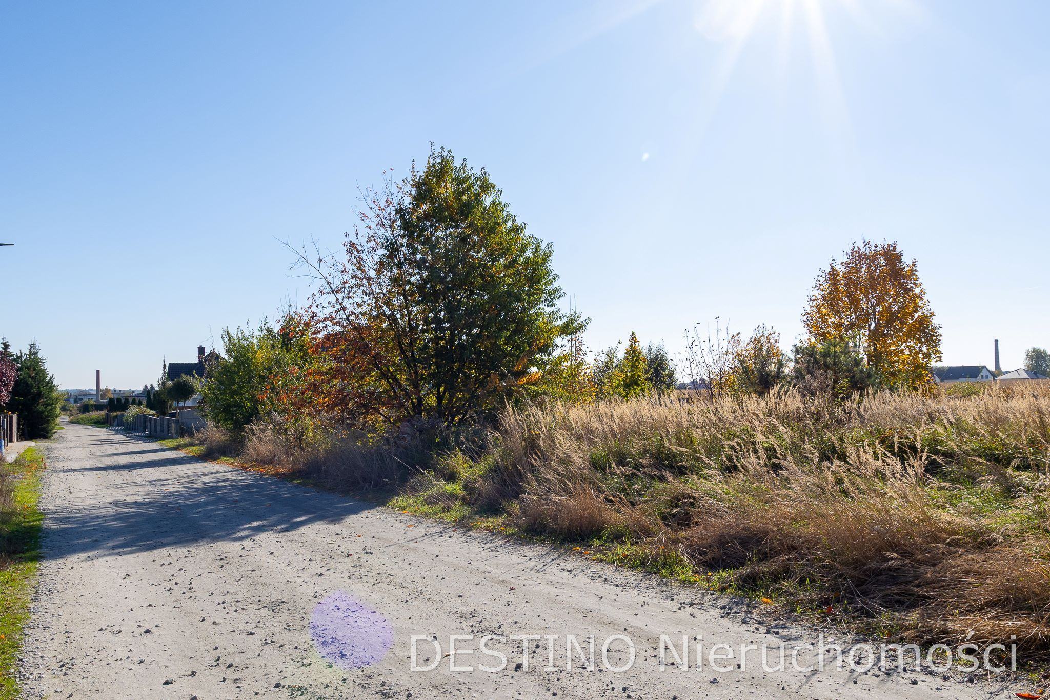 działka budowlana ok 1000 m2 Wojciechówka -  Wojciechówka  -
Zdjęcie nr 3