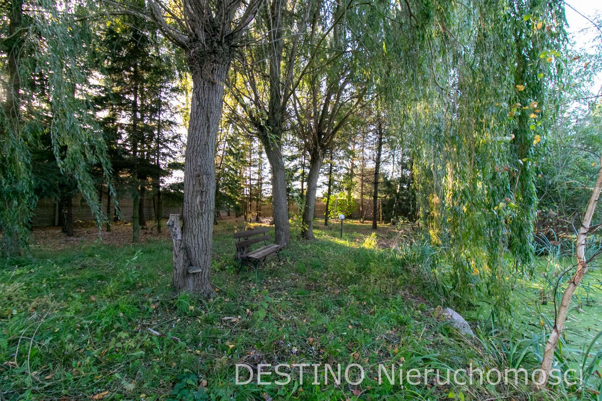 urokliwa działka budowlana 1400 m2 Szałe -  Szałe  -
Zdjęcie nr 3