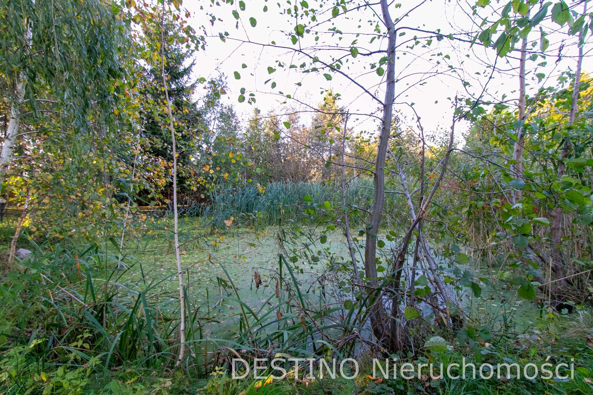 urokliwa działka budowlana 1400 m2 Szałe -  Szałe  -
Zdjęcie nr 4