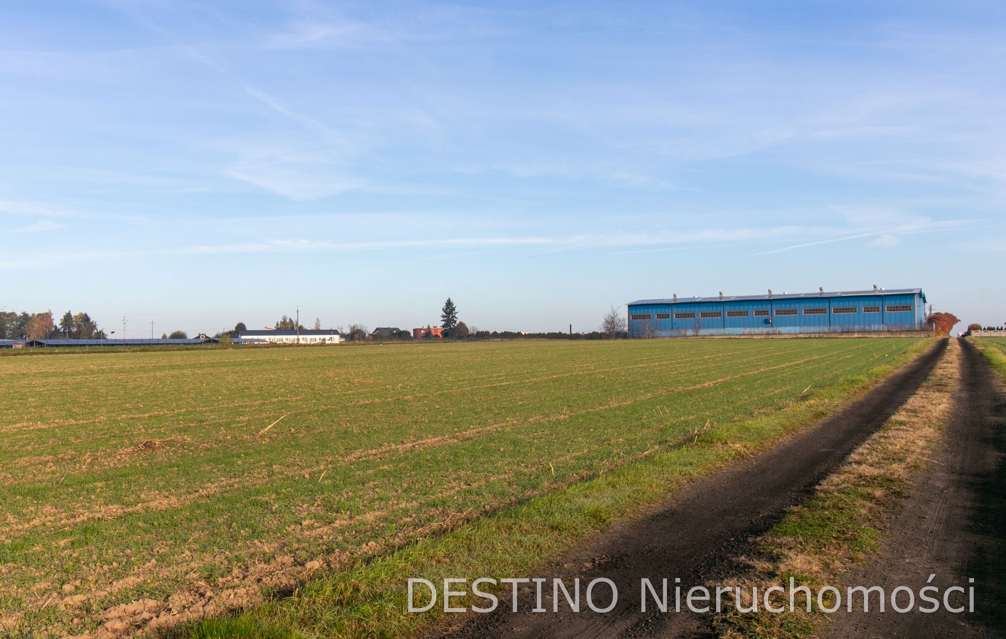 działka budowlana 1062 m2 Beznatka -  Beznatka  -
Zdjęcie nr 3