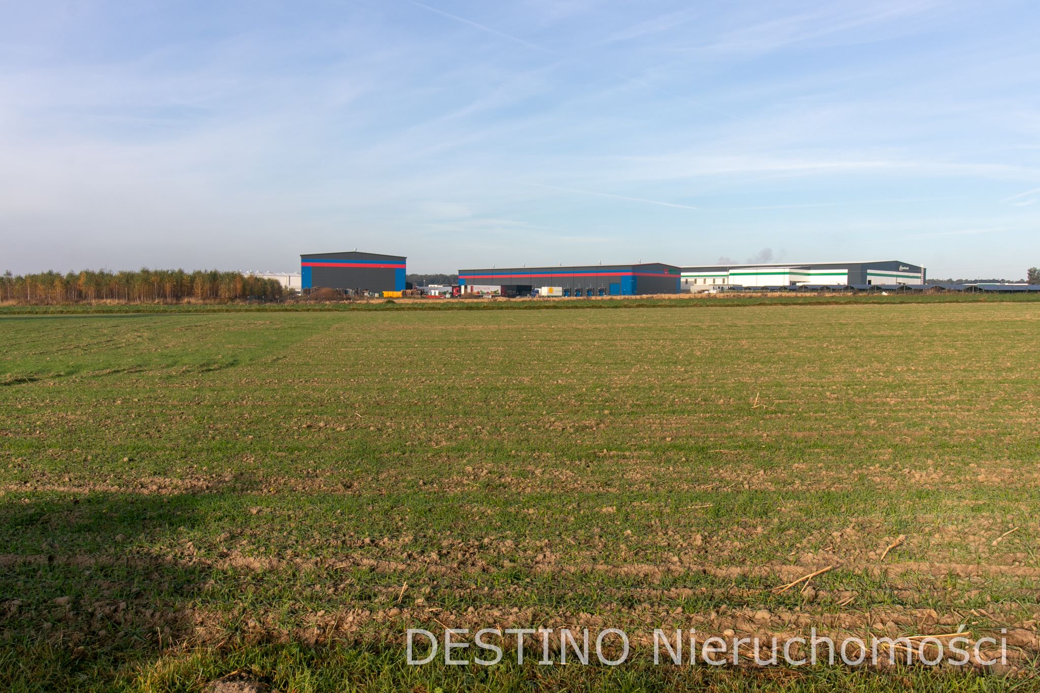 działka budowlana 1062 m2 Beznatka -  Beznatka  -
Zdjęcie nr 4