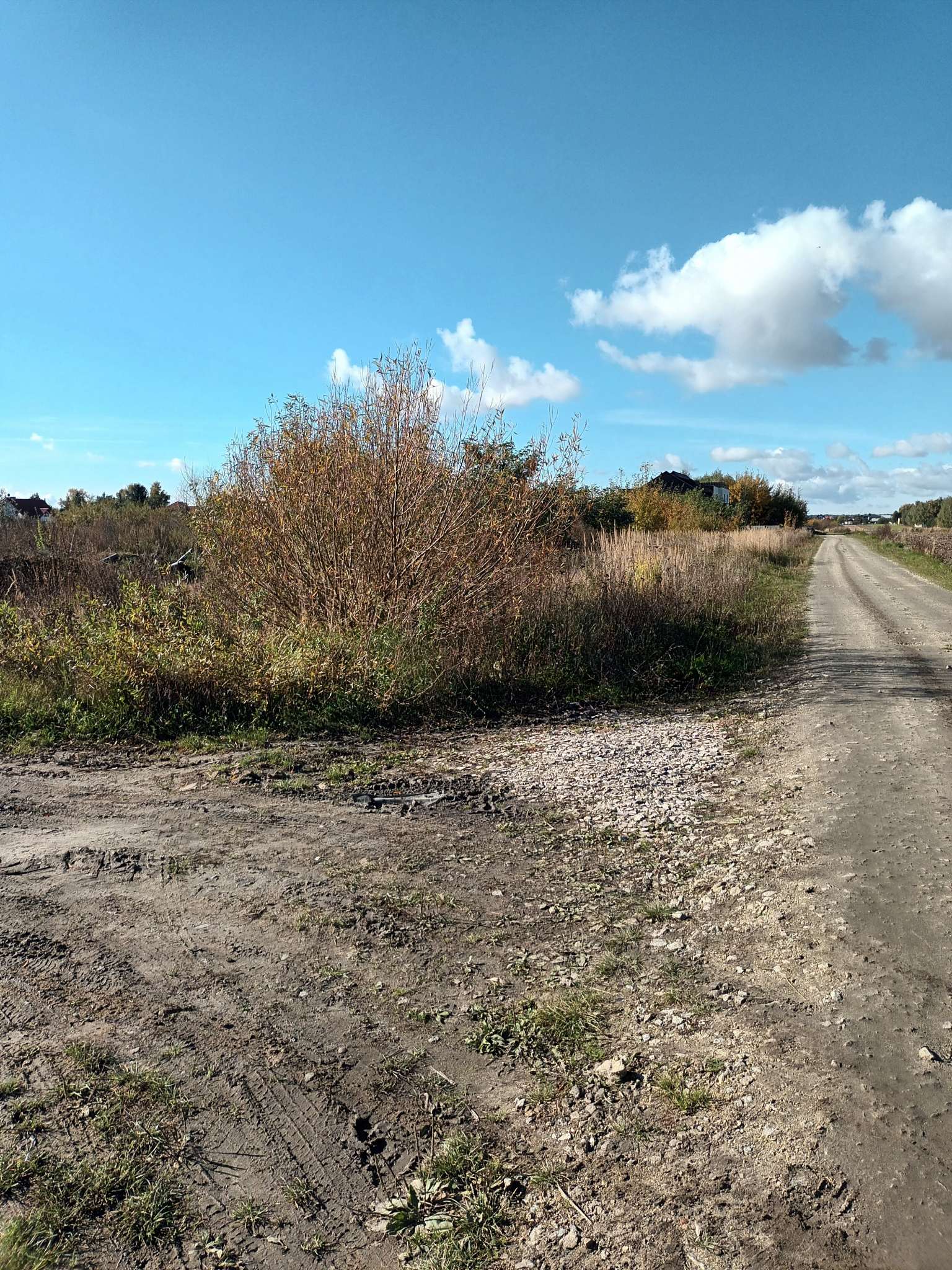 Krztałtna działka na osiedlu w Zacharzewie -  Zacharzew  -
