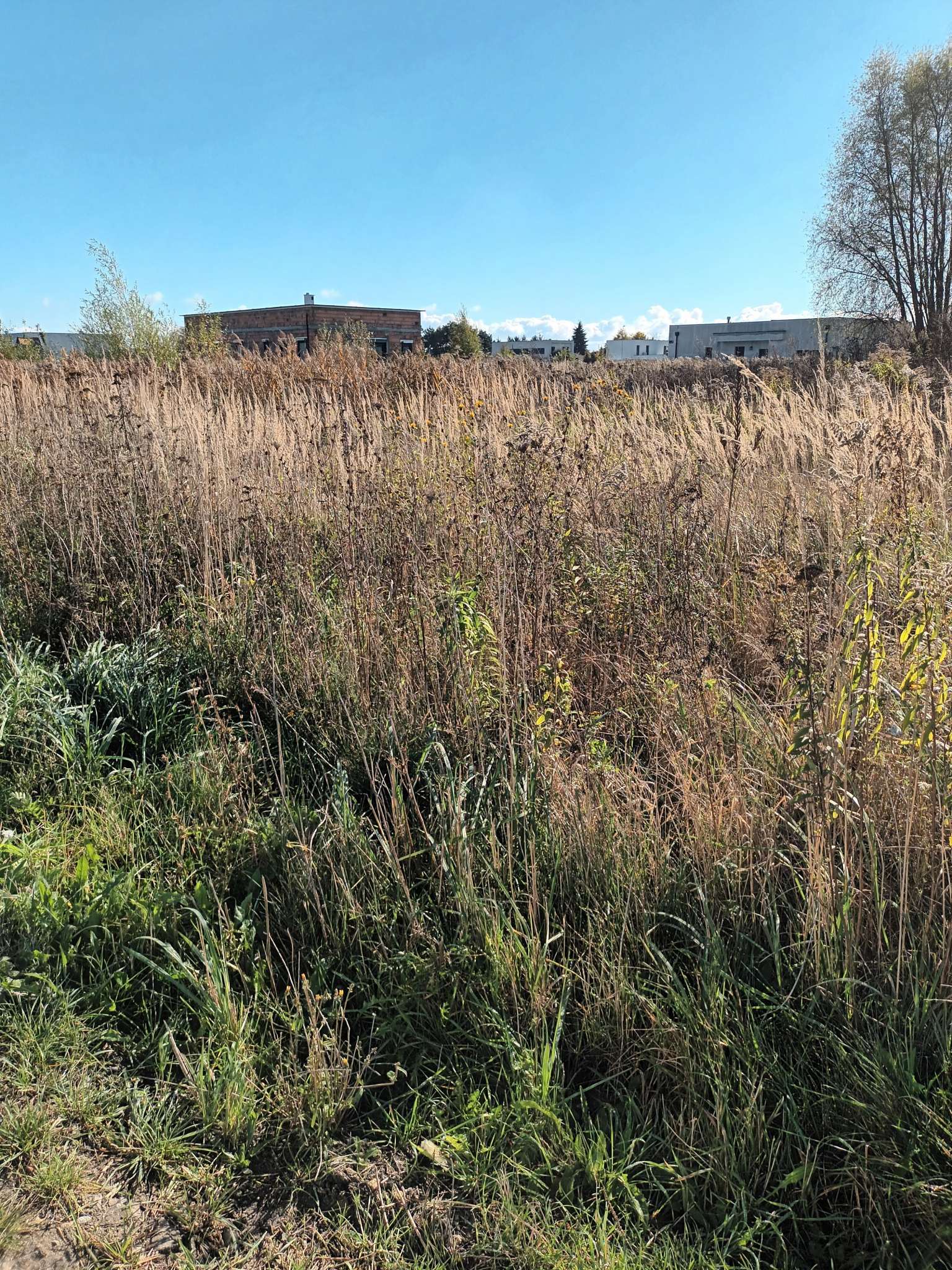 Krztałtna działka na osiedlu w Zacharzewie -  Zacharzew  -
Zdjęcie nr 2