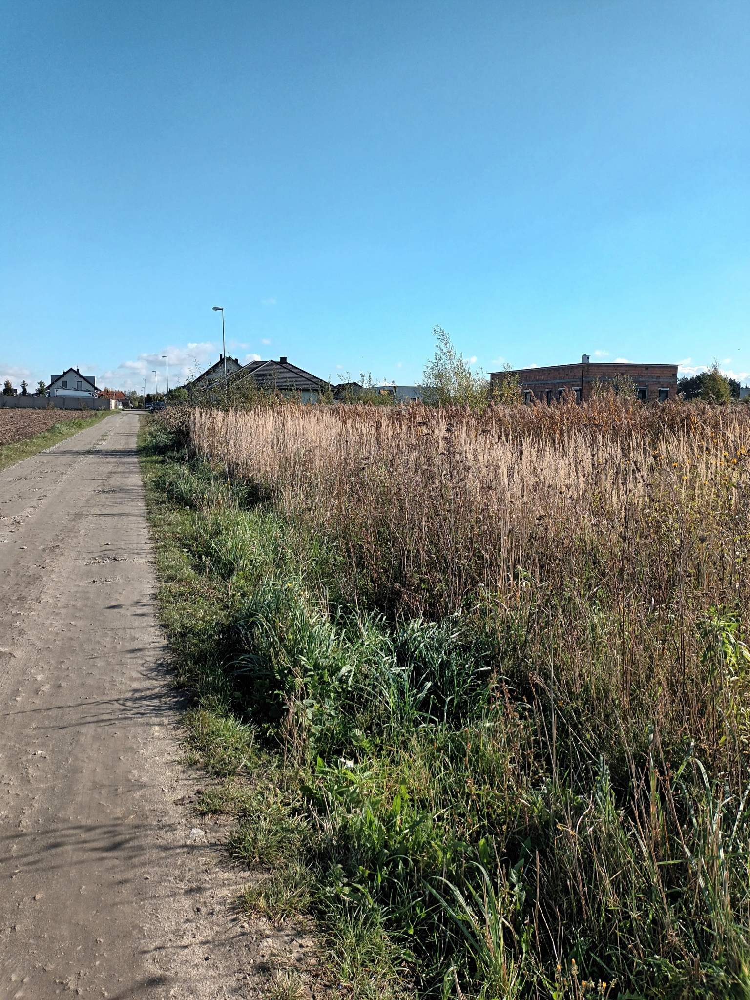 Krztałtna działka na osiedlu w Zacharzewie -  Zacharzew  -
Zdjęcie nr 3