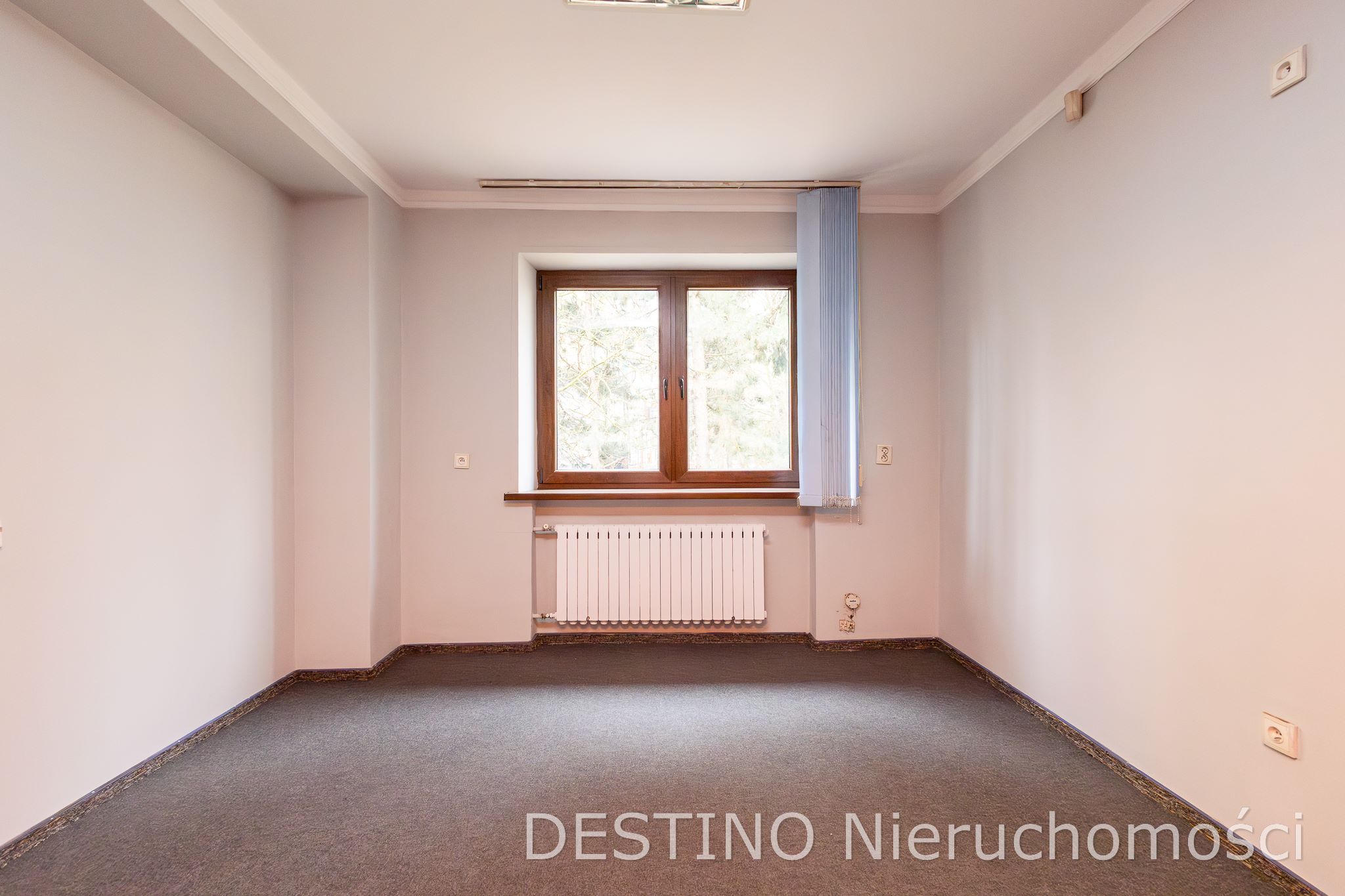 do wynajęcia lokal użytkowy na osiedlu Asnyka w Kaliszu - Kalisz   -
Zdjęcie nr 2