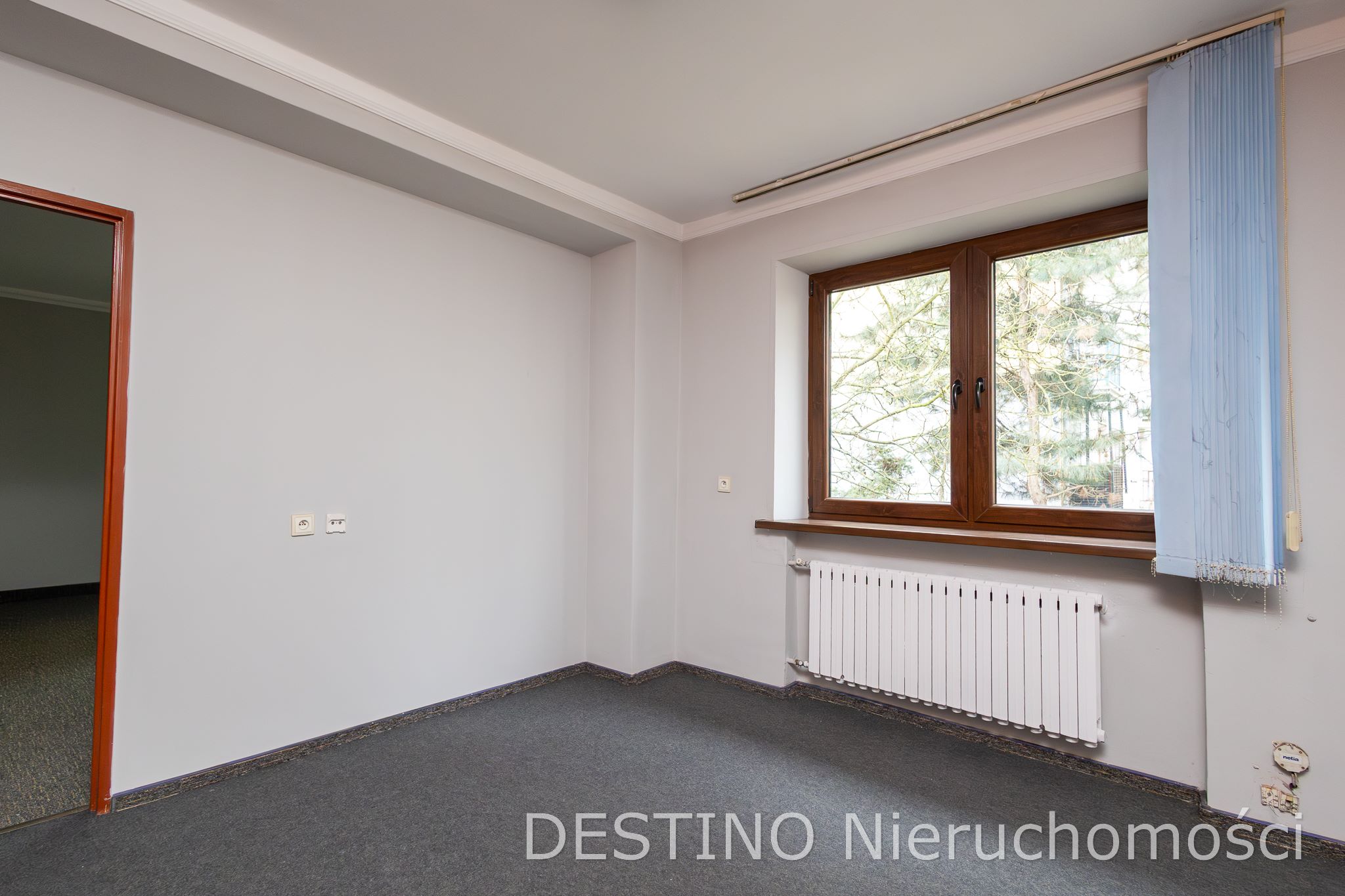 do wynajęcia lokal użytkowy na osiedlu Asnyka w Kaliszu - Kalisz   -
Zdjęcie nr 3