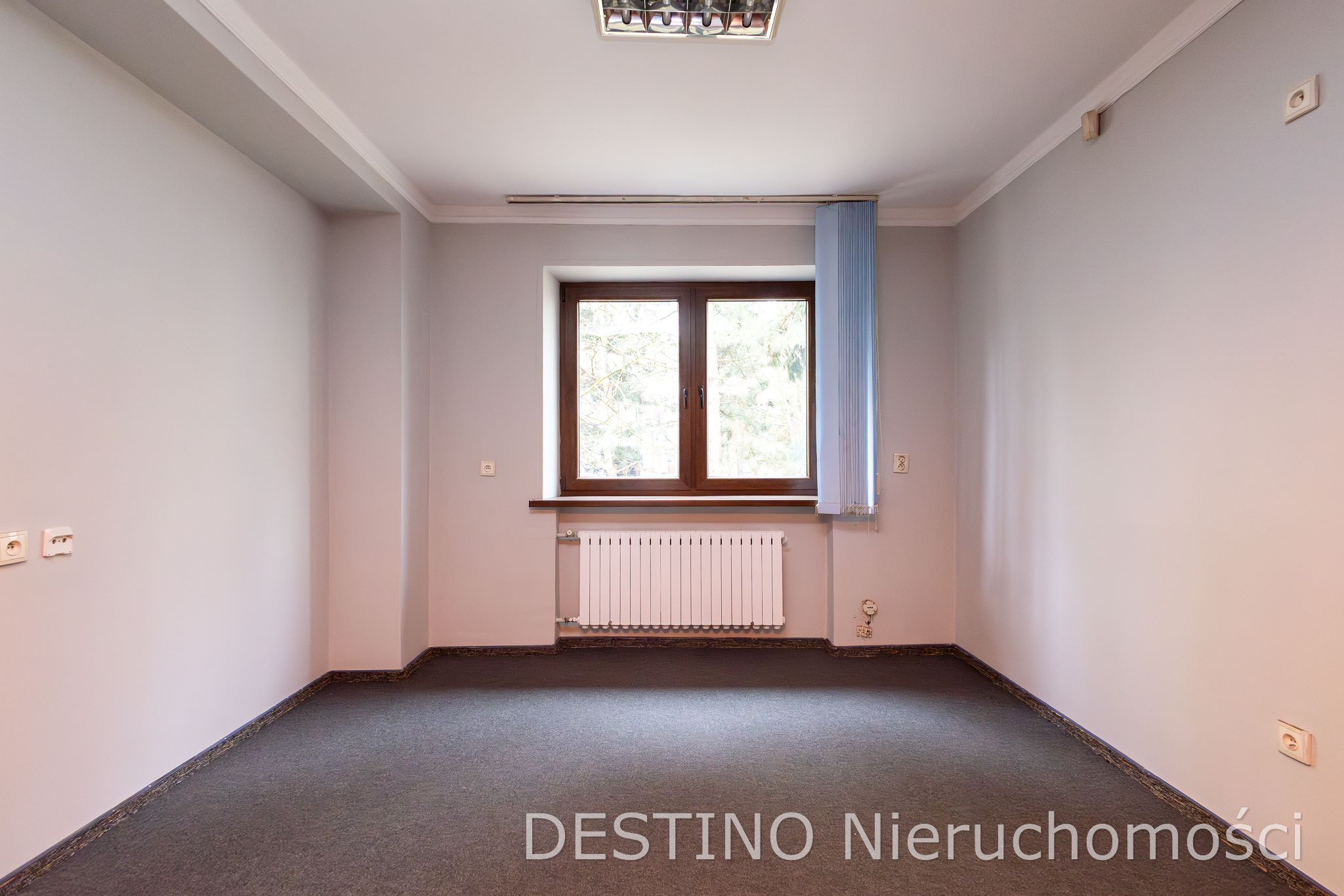 do wynajęcia lokal użytkowy na osiedlu Asnyka w Kaliszu - Kalisz   -
Zdjęcie nr 5