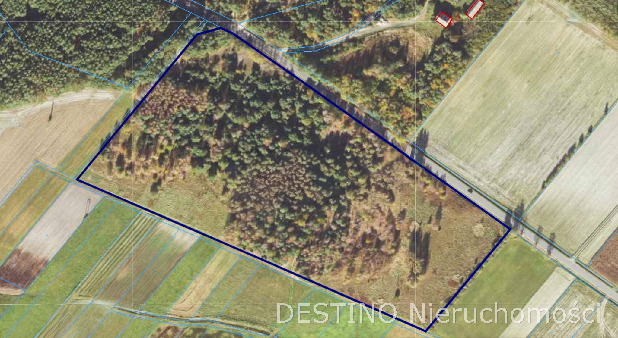 atrakcyjna działka 57200 ha w miejscowości Czempisz gmina Brzeziny -  Czempisz  -
