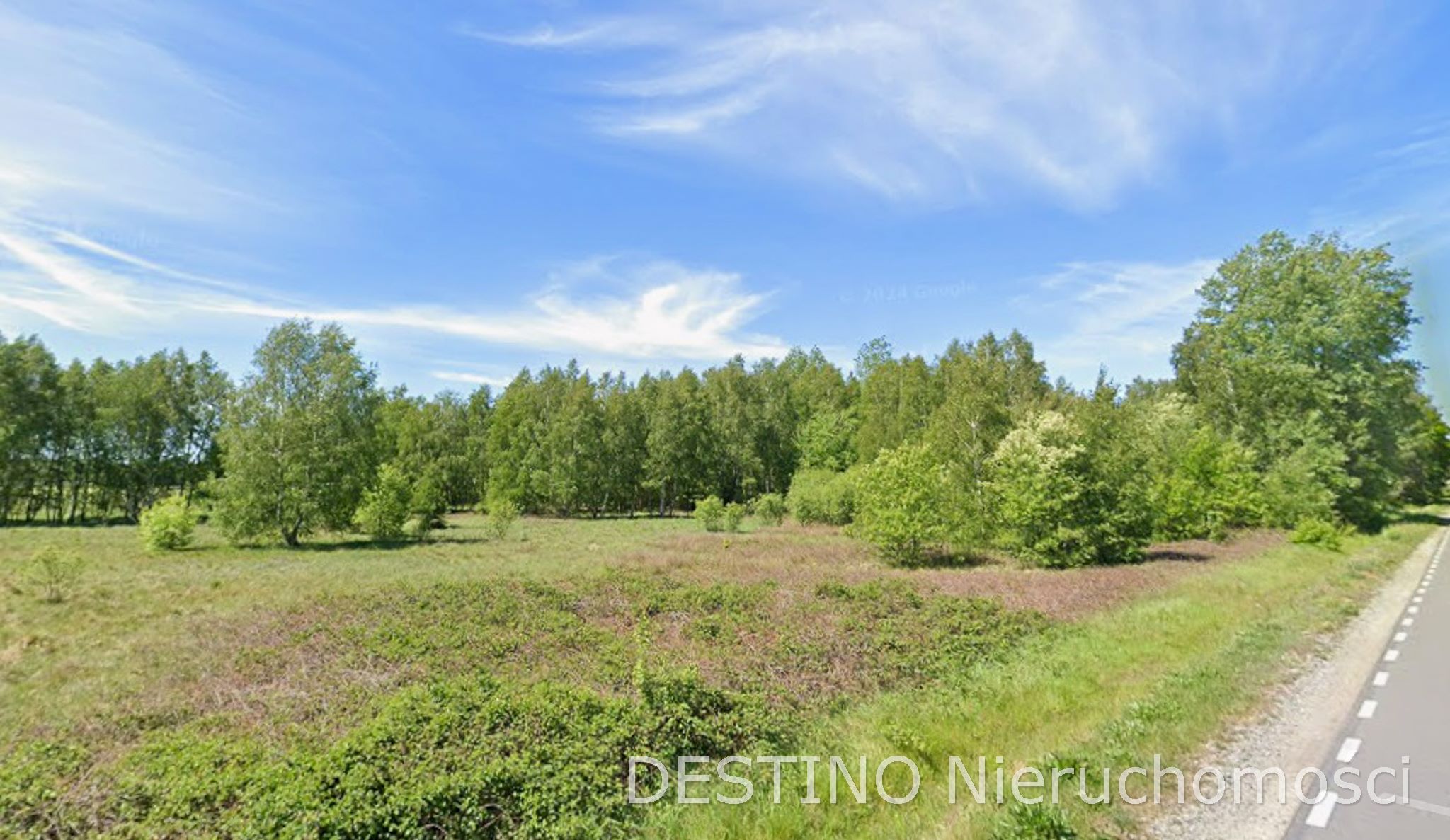 atrakcyjna działka 57200 ha w miejscowości Czempisz gmina Brzeziny -  Czempisz  -
Zdjęcie nr 2