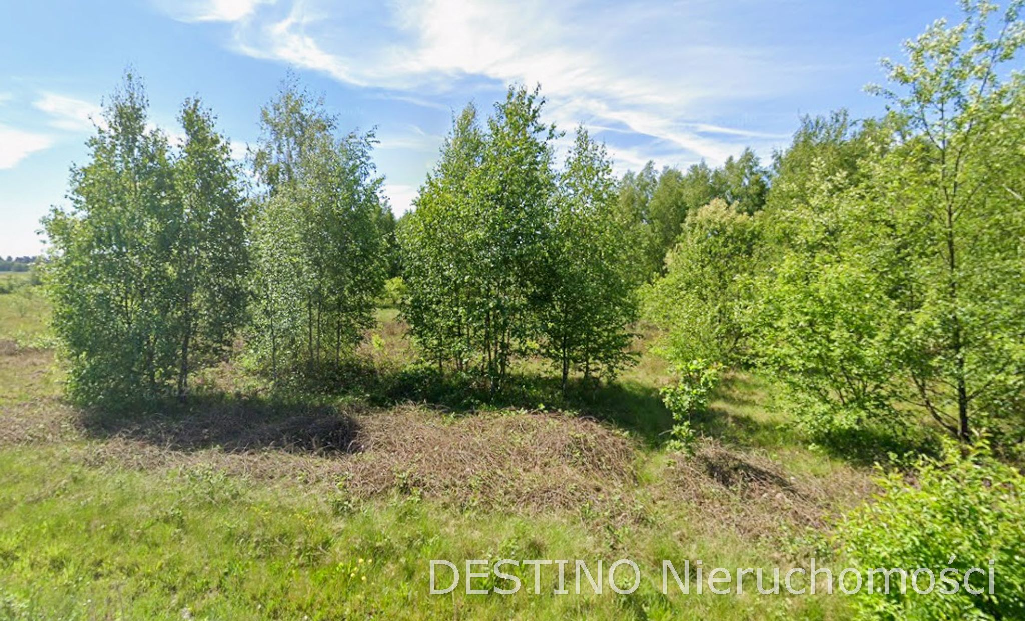 atrakcyjna działka 57200 ha w miejscowości Czempisz gmina Brzeziny -  Czempisz  -
Zdjęcie nr 3