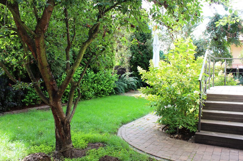 do wynajęcia dom na osiedlu Asnyka 4000 zł - Kalisz   -
Zdjęcie nr 17