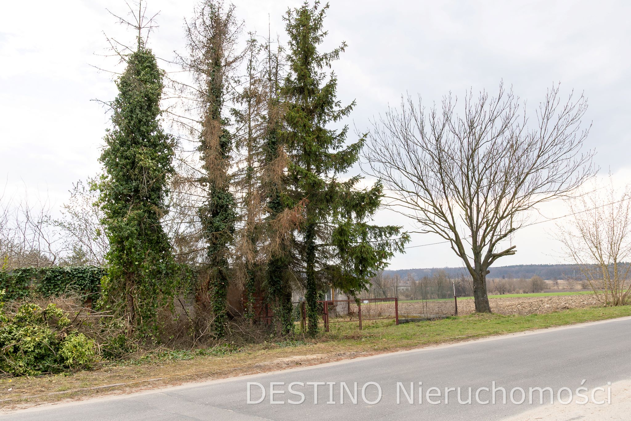 działka budowlana 327 m2 Pruszków gm Blizanów -  Pruszków  -
Zdjęcie nr 4