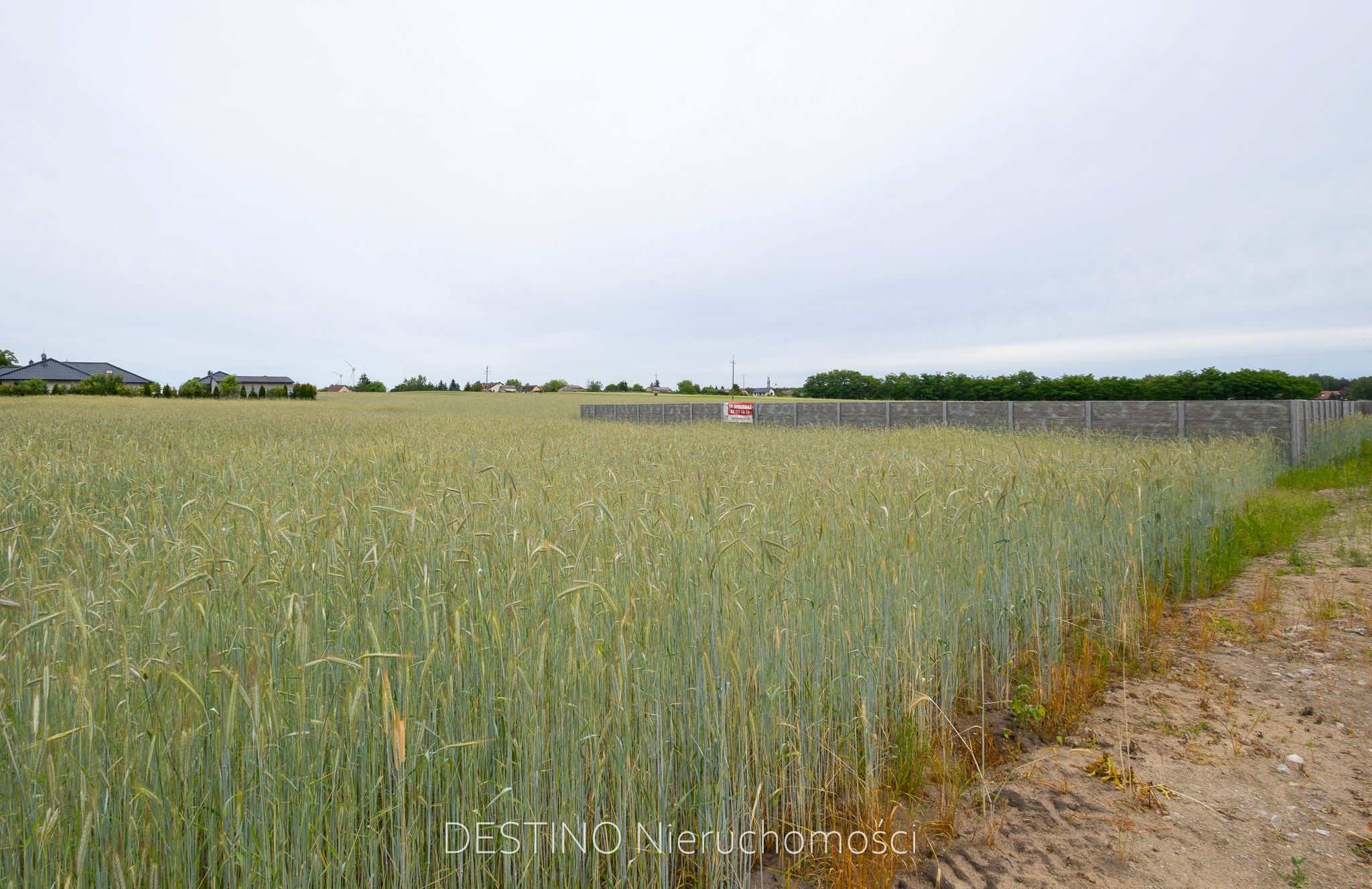 działka pod budowę domu jednorodzinnego 1376 m2 w gminie Ślesin -  Kępa  -
Zdjęcie nr 6