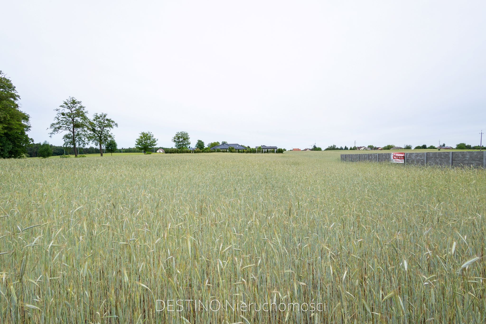 działka pod budowę domu jednorodzinnego 1376 m2 w gminie Ślesin -  Kępa  -
Zdjęcie nr 7