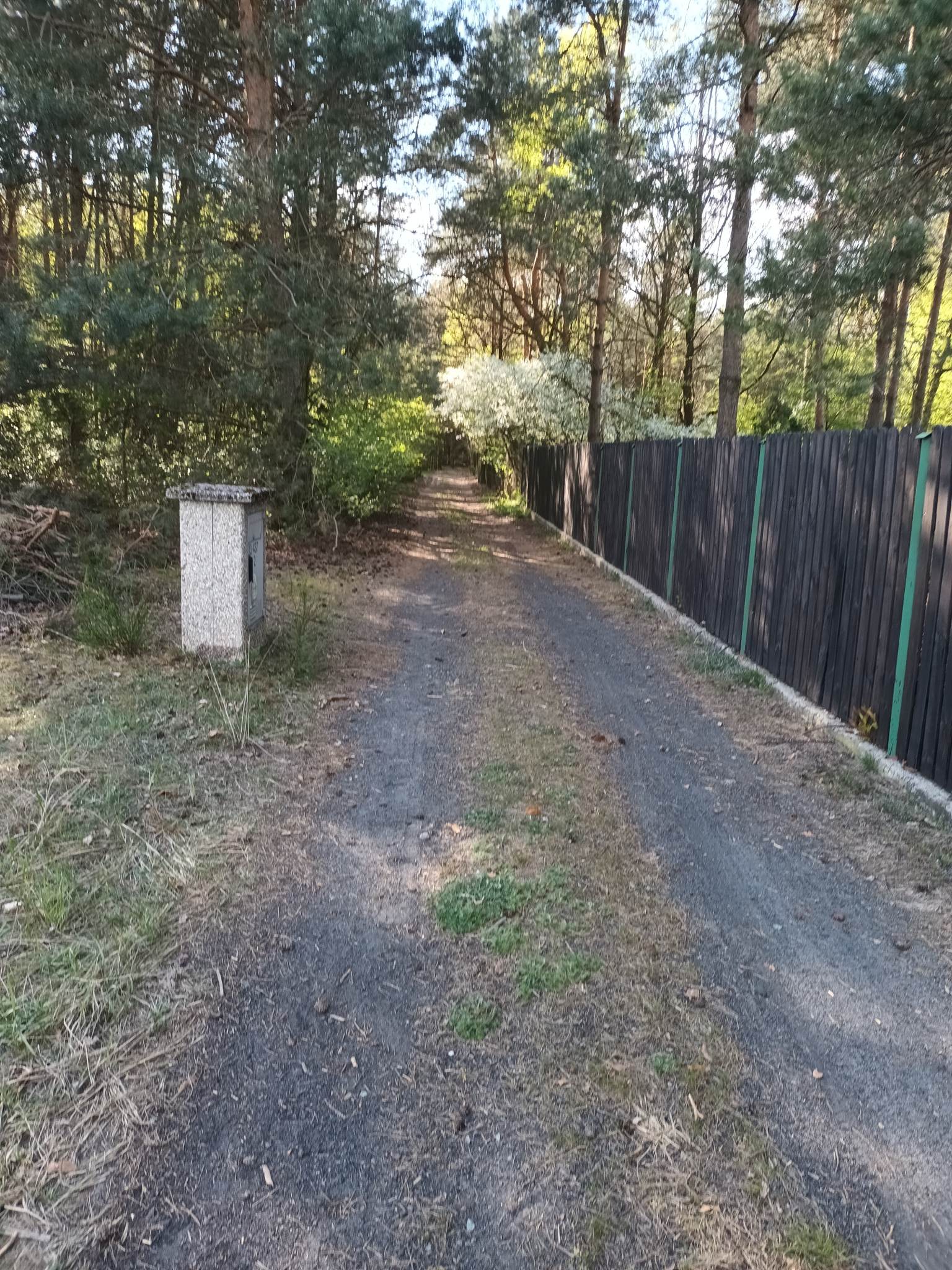 Działka rolna w Moczalcu -  Moczalec  -
