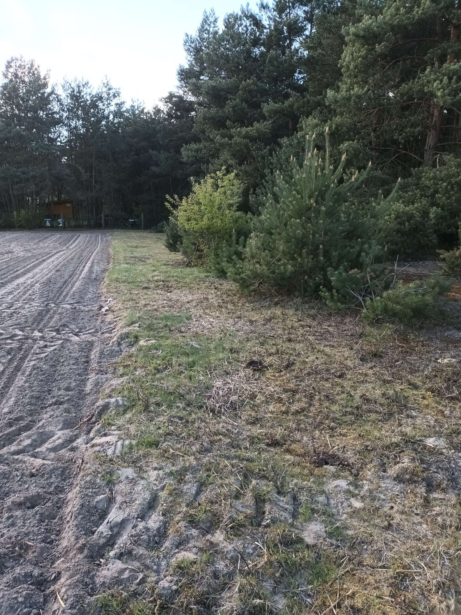 Działka rolna w Moczalcu -  Moczalec  -
Zdjęcie nr 4