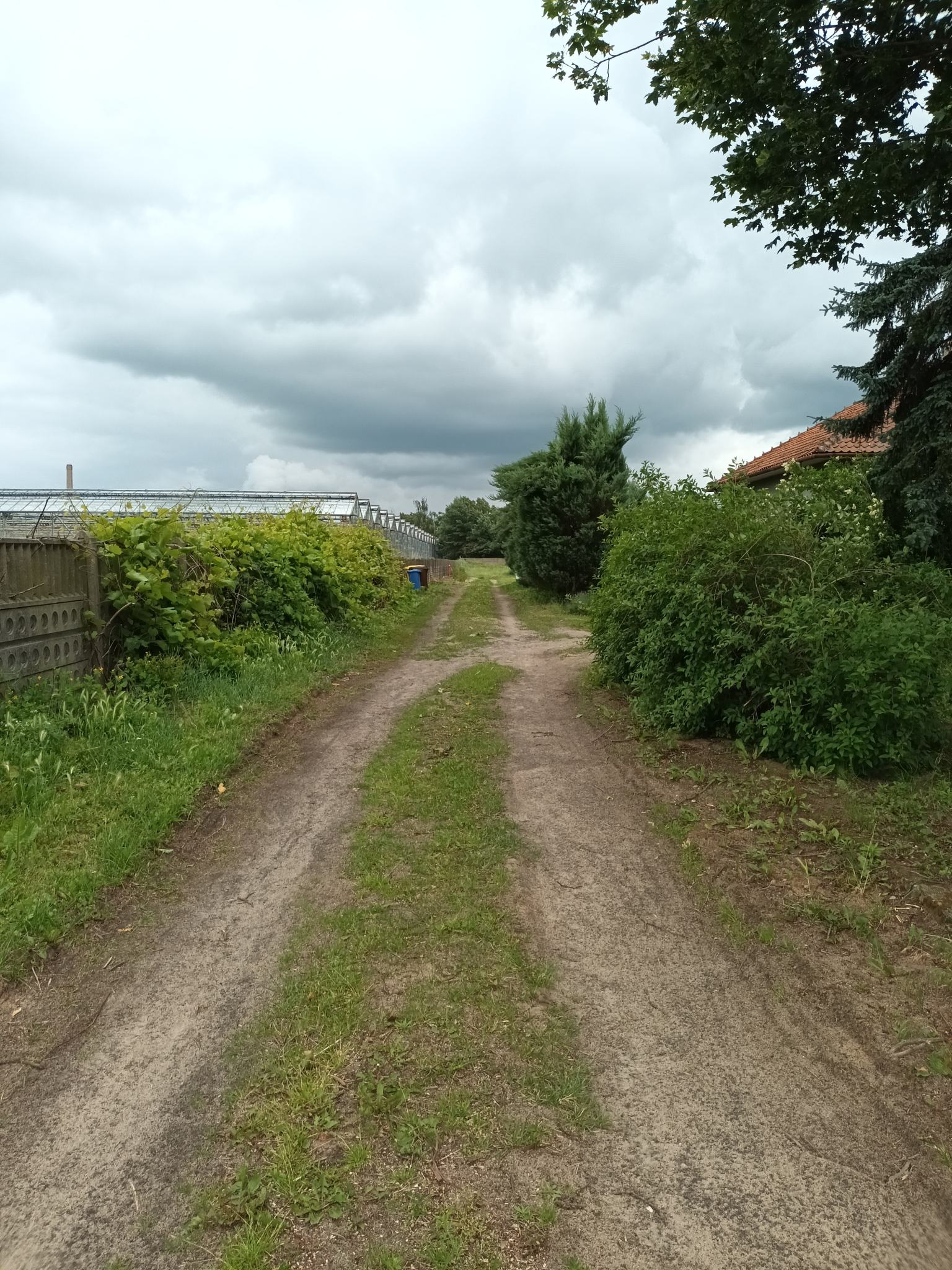 działka budowlana w Kokaninie -  Kokanin  -
