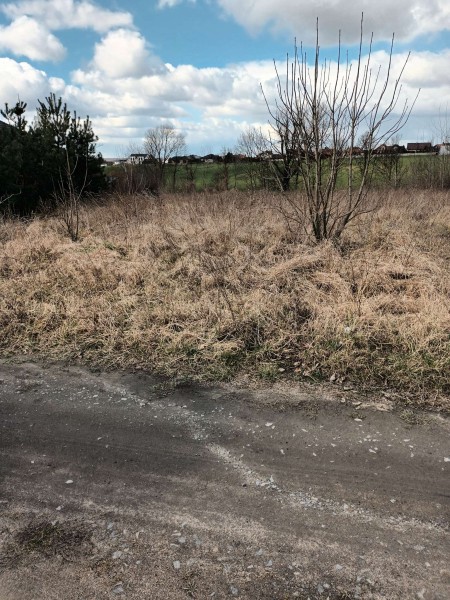 Ładna działka w Pruszkowie -  Pruszków  -
