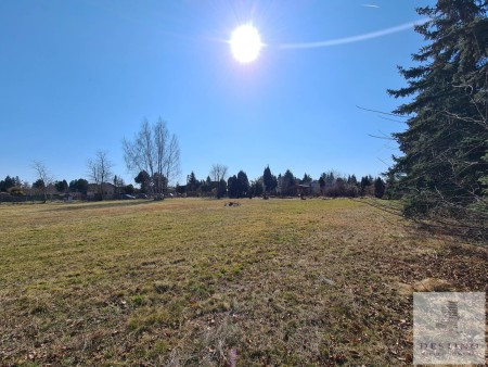 Atrakcyjna działka 4413m2 przy ulicy Kaliskiej Kalisz Szałe - Kalisz   -
Zdjęcie nr 4