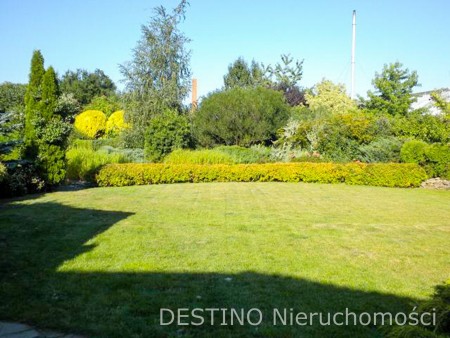 atrakcyjna działka budowlana ok 3000 m2 os Tyniec - Kalisz   -
Zdjęcie nr 2