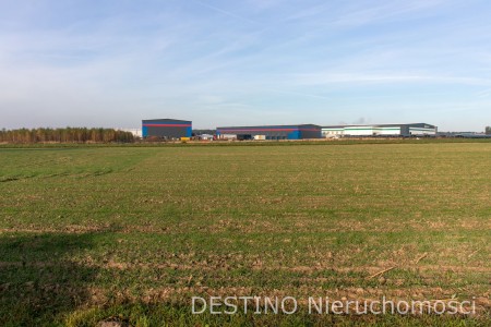 działka budowlana 1062 m2 Beznatka -  Beznatka  -
Zdjęcie nr 3